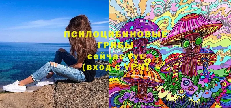 Псилоцибиновые грибы Magic Shrooms  закладки  KRAKEN ССЫЛКА  Нытва 